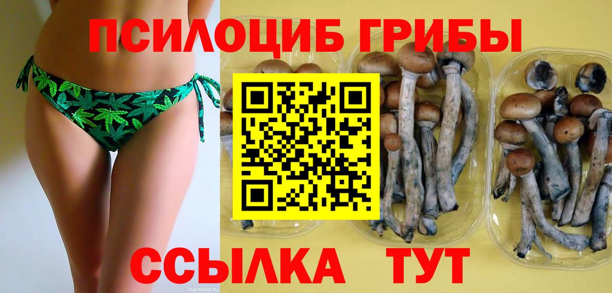 Артёмовский  Псилоцибиновые грибы Cubensis  Вход с VPN  Галлюциногенные грибы MAGIC MUSHROOMS 