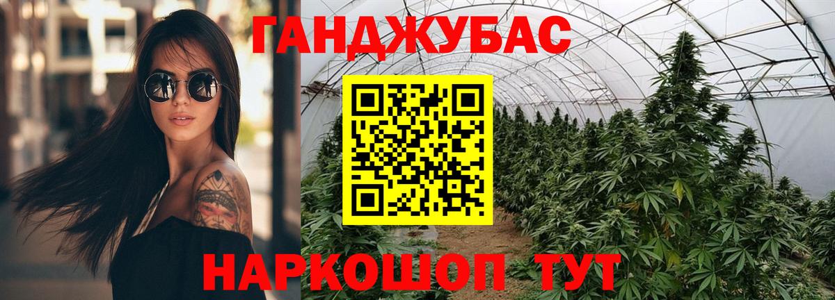 Конопля планчик Артёмовский